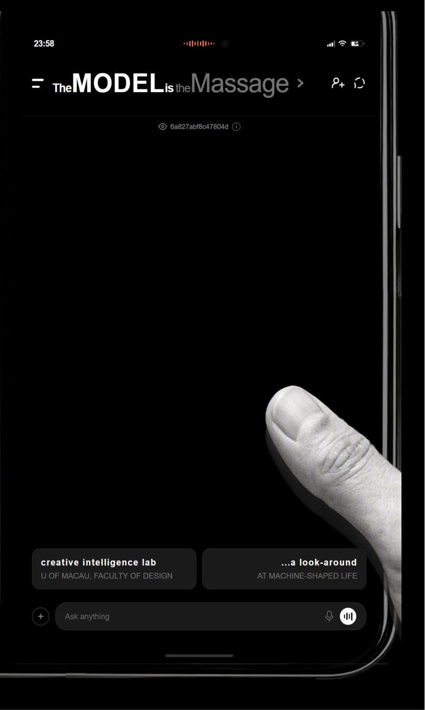 The Model is the Massage — Book Cover